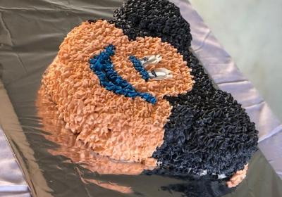 180781258 479098120176773 285510143566690915 N